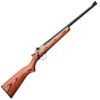 Crickett Brown Laminate Stock Blued Compact Rifle - 22 Long Rifle